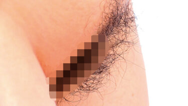 AV「豊満 観察・見学」のセクシー・エロ動画まとめ　厳選30選